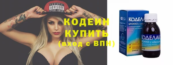 СК Осинники