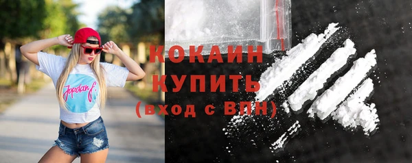 первитин Няндома