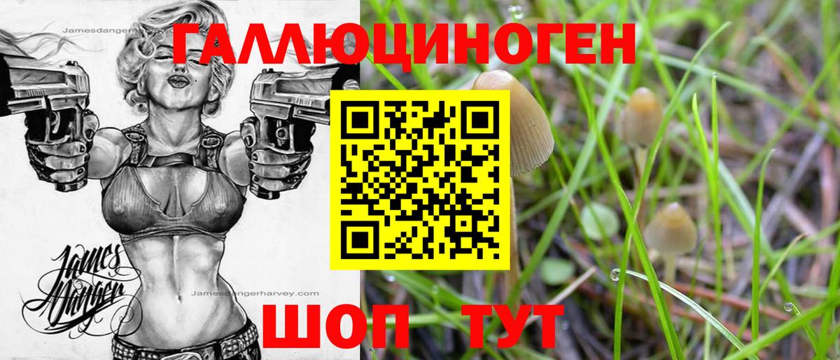 Псилоцибиновые грибы Psilocybine cubensis  Псилоцибиновые грибы прущие грибы  где найти   Когалым 